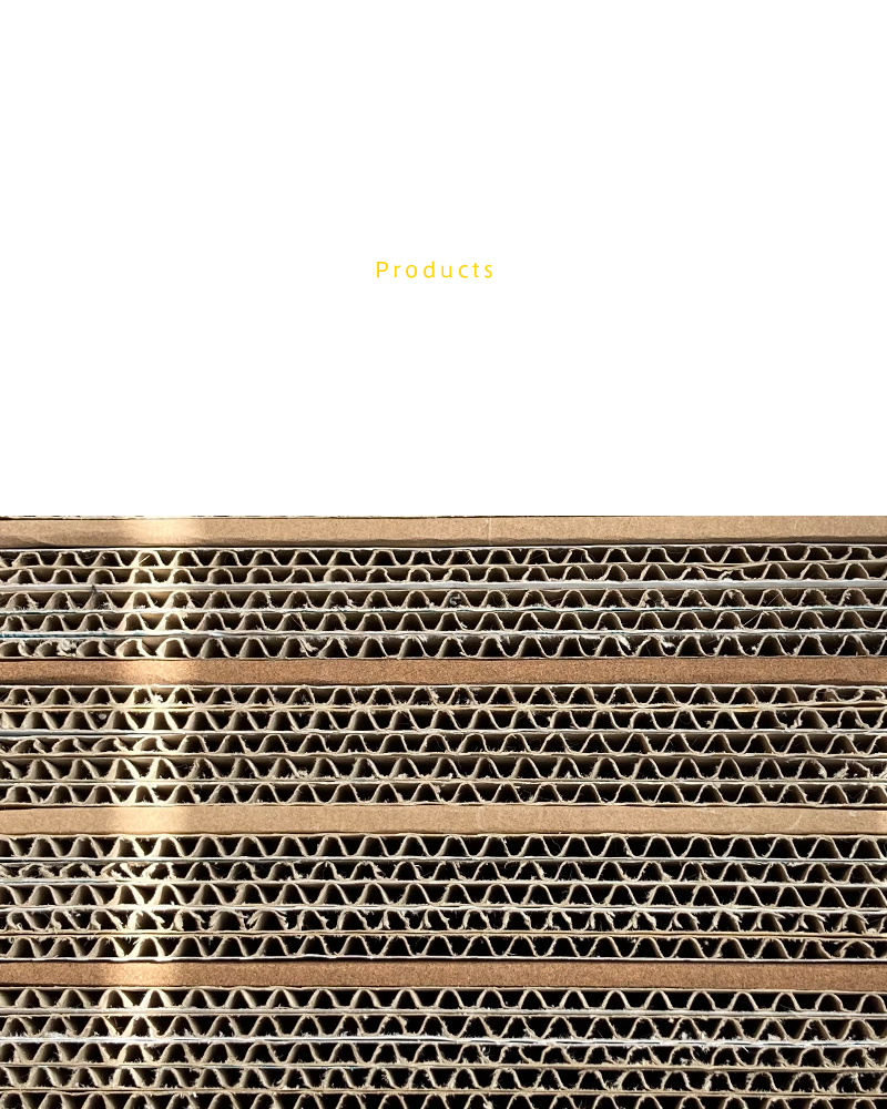 段ボール商品紹介